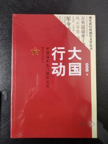 大国行动：中国海军也门撤侨纪实/强军进行时报告文学丛书