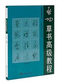 名家书法技法丛书：启功草书高级教程