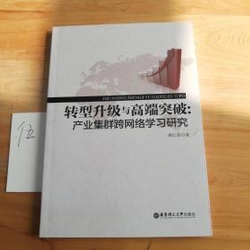 转型升级与高端突破：产业集群跨网络学习研究