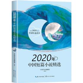 2020年中国短篇小说精选