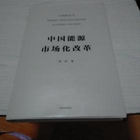中国能源市场化改革   作者签名本