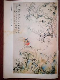 彩版美术插页（单张），华喦《山鸟爱梅图》，华喦的花鸟画，边鲁国画《起居平安图》，陈嘉言《梅竹寒鹊图》