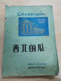 西北的瓜