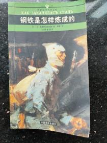 名家名译世界文学名著文库：钢铁是怎样炼成的（全译插图本）