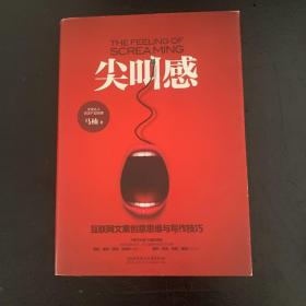 尖叫感：互联网文案创意思维与写作技巧