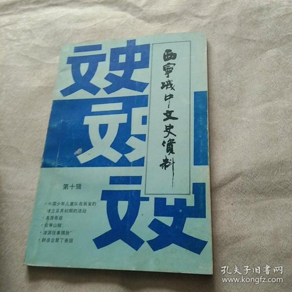 西宁城中文史资料 第十辑