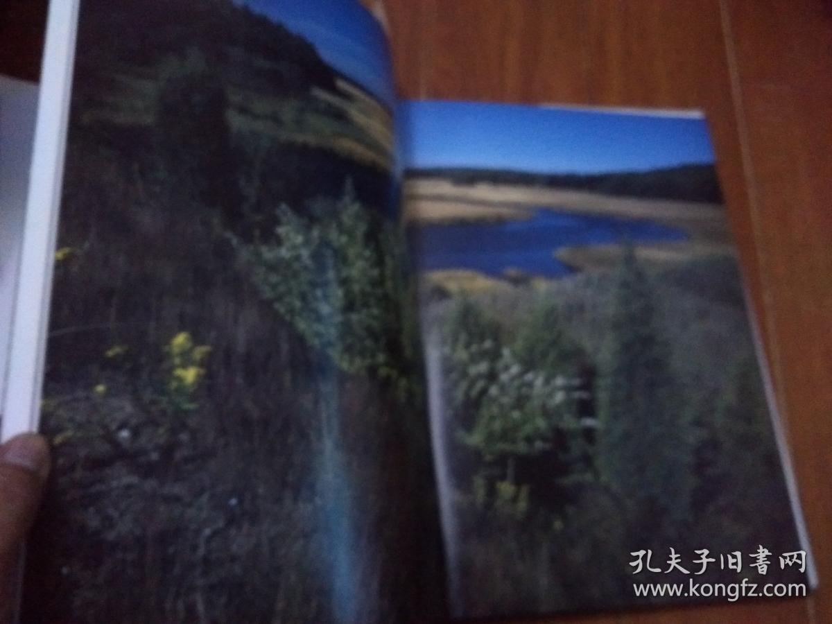 MASSACHUSETTS ROBERT KAUFMAN（马萨赫尔·杰瑟茨  科夫曼）8开 英文原版摄影画册【货号：T3-15】自然旧。正版。详见书影。实物拍照