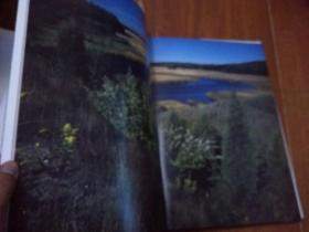 MASSACHUSETTS ROBERT KAUFMAN（马萨赫尔·杰瑟茨  科夫曼）8开 英文原版摄影画册【货号：T3-15】自然旧。正版。详见书影。实物拍照