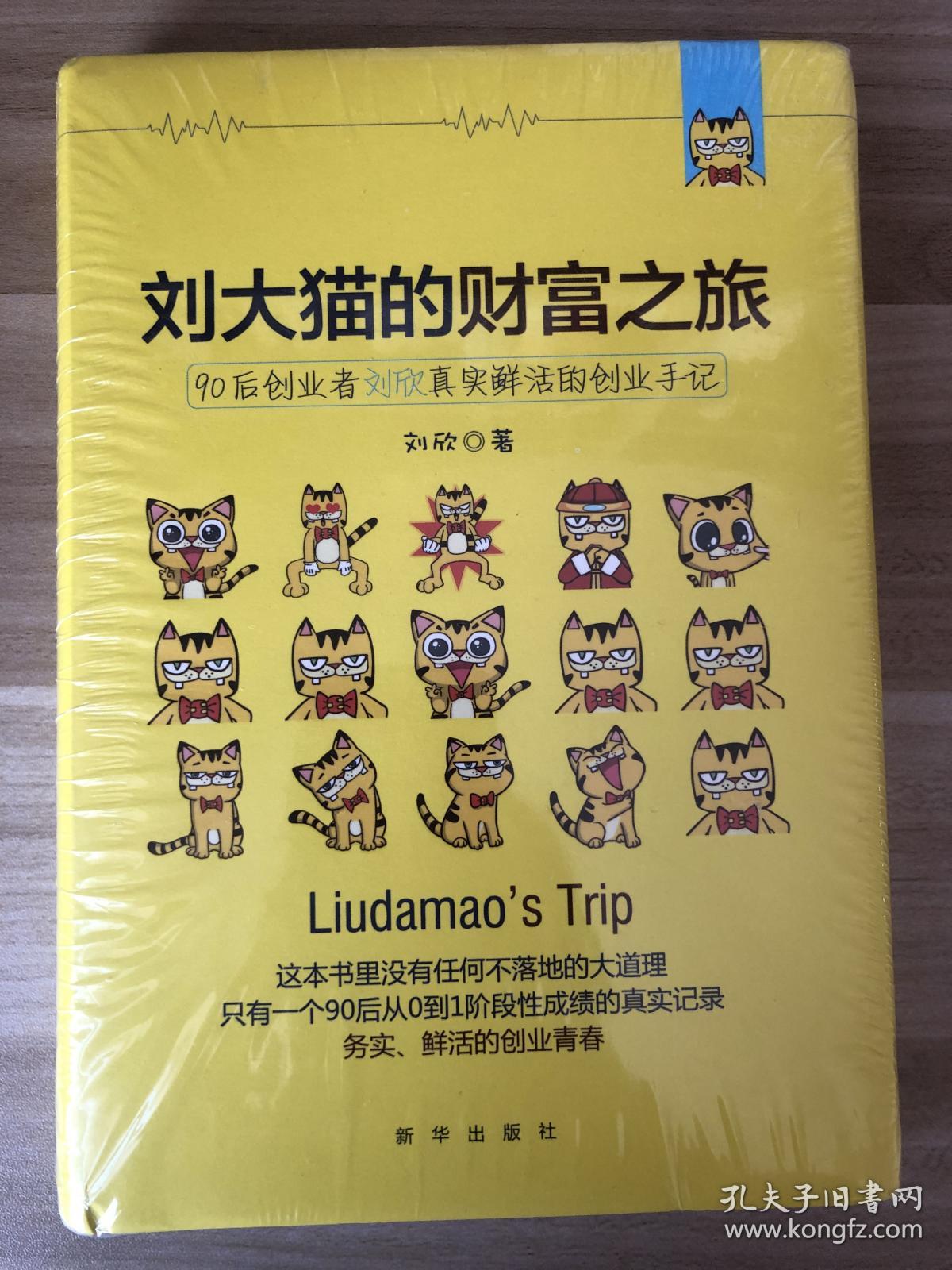 刘大猫的财富之旅