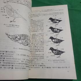 鸟类学：Ornithology