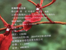 《云南野生兰花》12开精装 全铜版纸彩印 图文并茂500页厚本 【注：无书衣外软封面、内页前几页里靠书脊处有透明胶带粘贴——看图、内页完整不缺页、具体品相与图为准——免争议】"