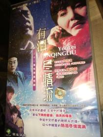 经典电视剧vcd 有泪尽情流 21碟 徐帆于荣光侯天来程煜夏力薪刘莉莉张鹭何玉华丁海峰