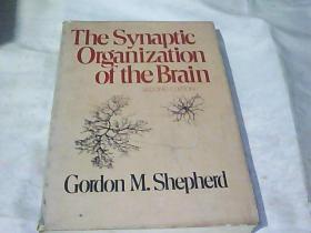 The Synapytic OraniZation of the Brain    大脑的突触化
