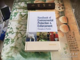 Handbook of Environmental Protection and Enforcement: Principles and Practice (English Edition)
