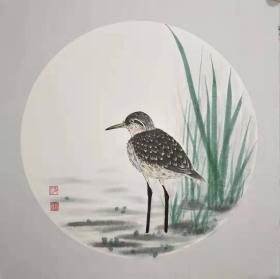 《凝视》国画 花鸟画纯手工绘制  卡纸