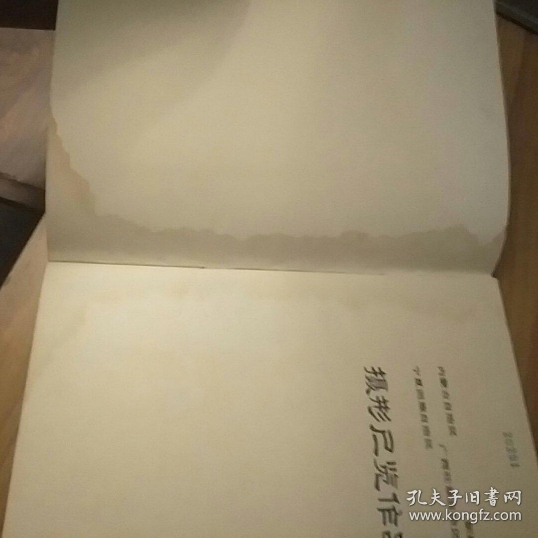 内蒙，新疆，广西，宁夏，西藏摄影展览作品选集】1978年 馆藏