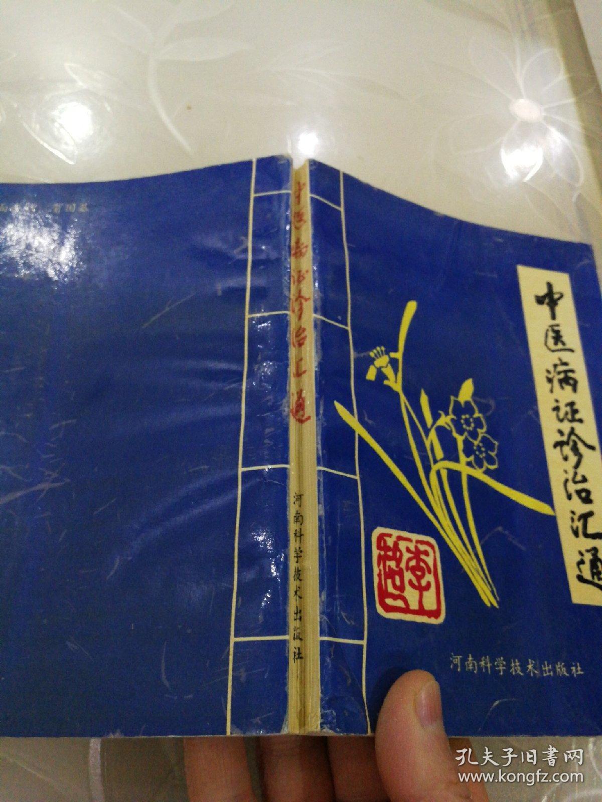 中医病证诊治汇通