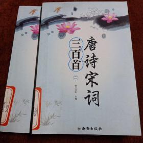 《唐詩宋詞三百首》二、三冊（帶譯文、注釋、圖畫）