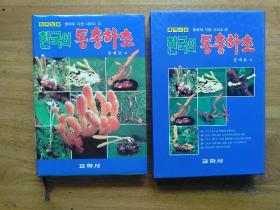 The Insects-born fungus of Korea in color