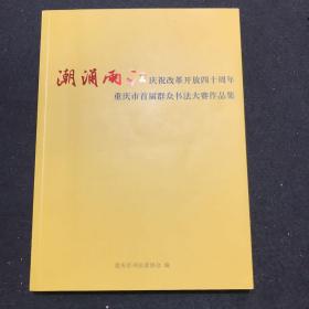 潮涌两江——庆祝改革开放四十周年重庆市首届群众书法大赛作品集