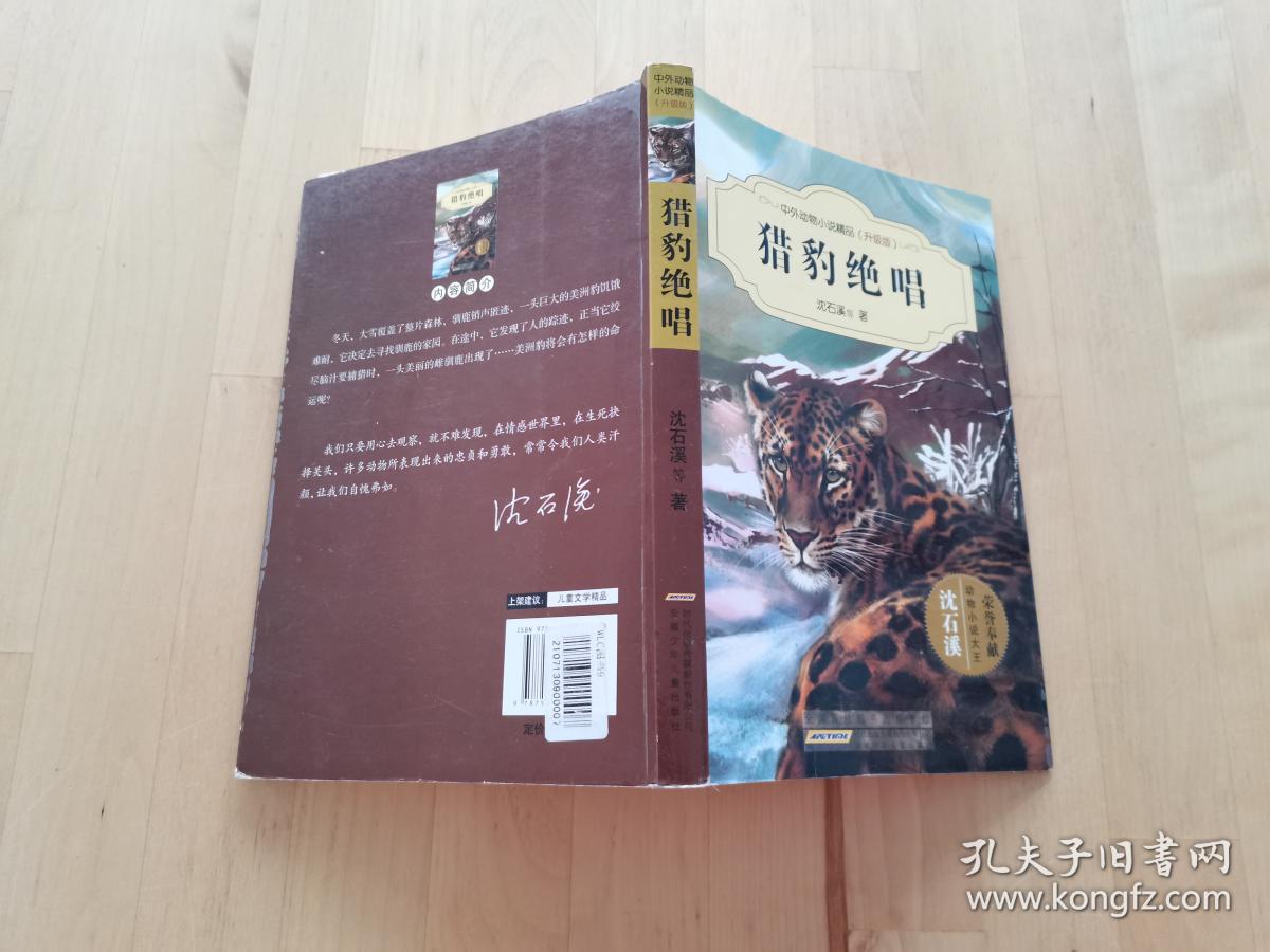 中外动物小说精品（升级版）：猎豹绝唱 沈石溪