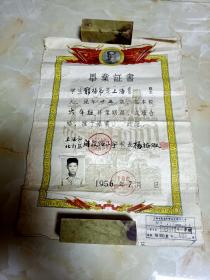 1956年上海市北郊区闸殷路小学毕业证