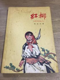 红柳1966年