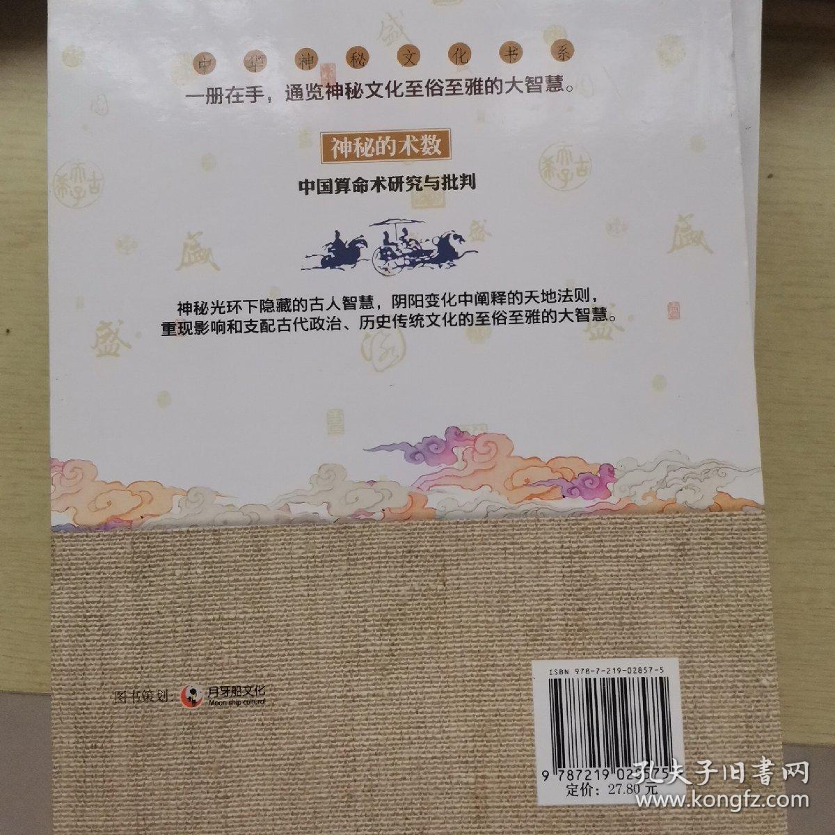 神秘的术数：中国算命术研究与批判