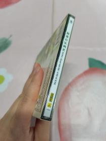 【2VCD】洞箫音乐风光