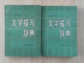 文学描写辞典 小说部分 上下册