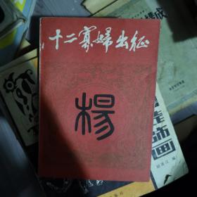 十二寡妇出征