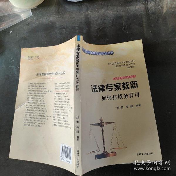 法律专家为民说法系列丛书：法律专家教您如何打债务官司