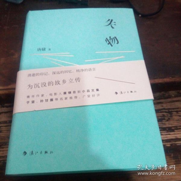 失物集（青年作家、先锋导演唐棣散文集，于坚、孙甘露名家推荐！）