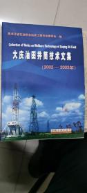 大庆油田井筒技术文集:2002~2003