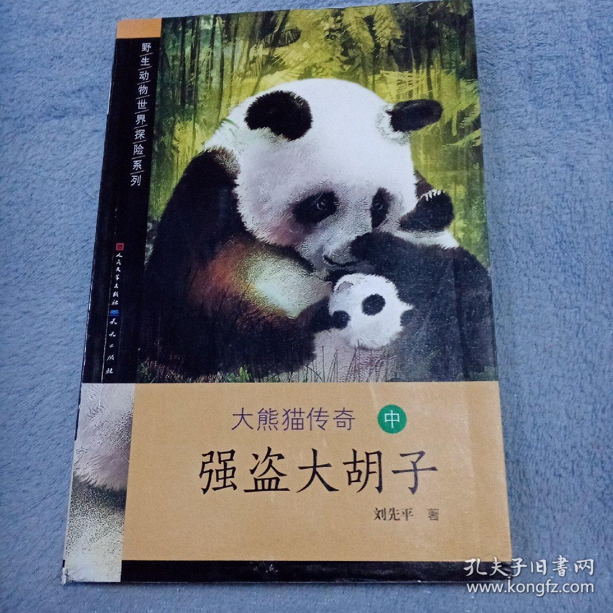 大熊猫传奇2——强盗大胡子