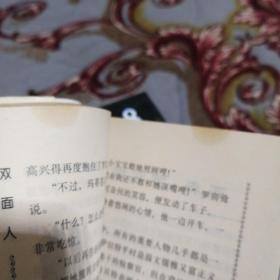 亚森.罗宾探案全集（全十五册）（见图见说明）