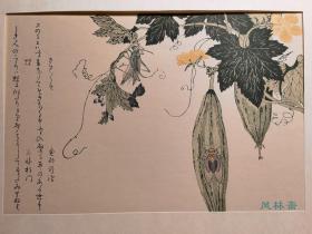 喜多川歌麿《画本虫撰》全15枚木版水印 悠悠洞原大复刻 日本浮世绘花鸟画杰作 东方古典博物图