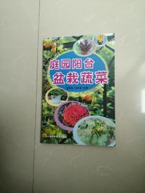 庭园阳台盆栽蔬菜。