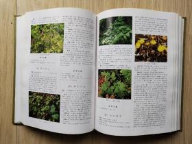 中国长白山药用植物彩色图志（精装）
