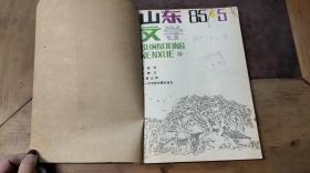 山东文学1985.5-8期（共4本）