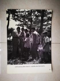 老照片：1953年6月28日，毛泽东在北京郊区看农村儿童捉蝉