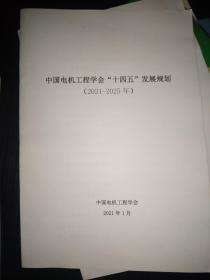 中国电机工程学会“十四五”发展规划 2021-2025