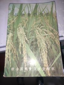 谷物種子技術(shù)