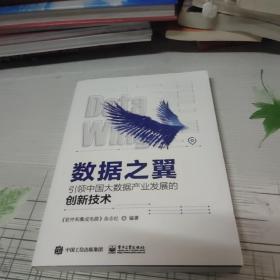 数据之翼：引领中国大数据产业发展的创新技术