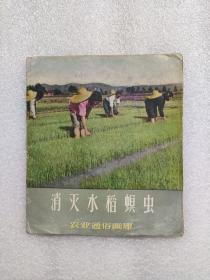 1957年通俗画库-消灭水稻螟虫