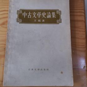 中古文学史论集 王瑶