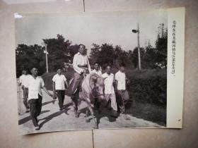 老照片：1964年8月，毛泽东在北戴河骑马.