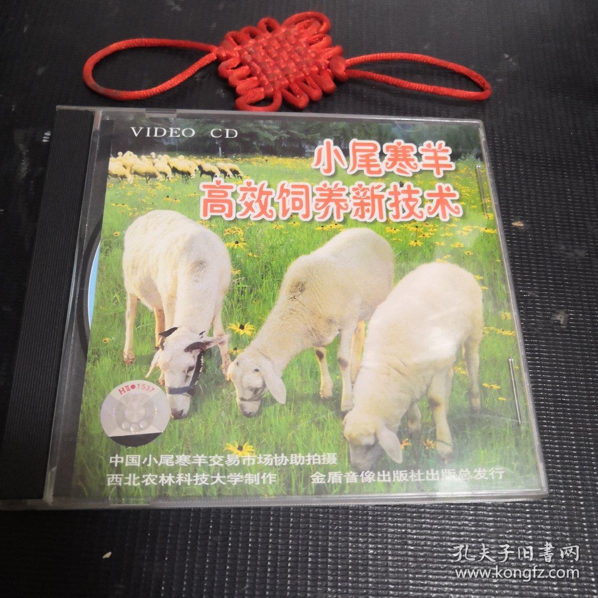 小尾寒羊高效饲养新技术（1 VCD）