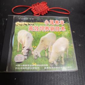 小尾寒羊高效饲养新技术（1 VCD）