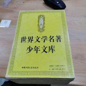 世界文学名著少年文库（十一本合售，巴黎圣母院，碧血黄沙，愤怒的葡萄，十字军骑士等，具体如图）